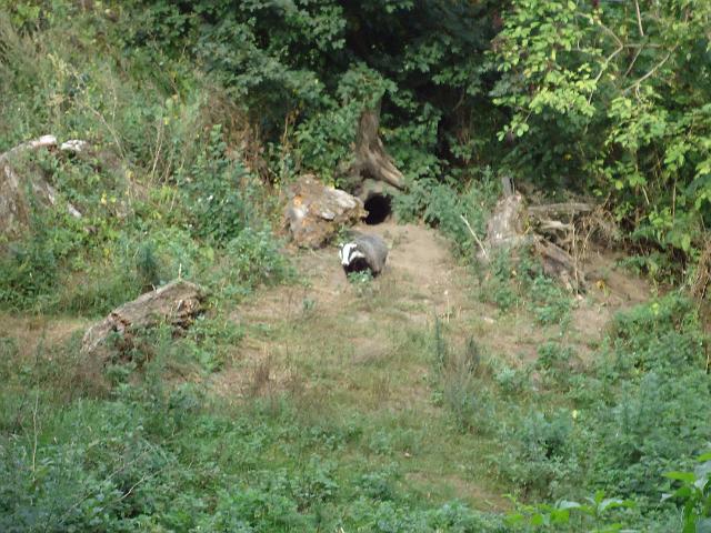 Damenfahrt Otterzentrum 003.jpg